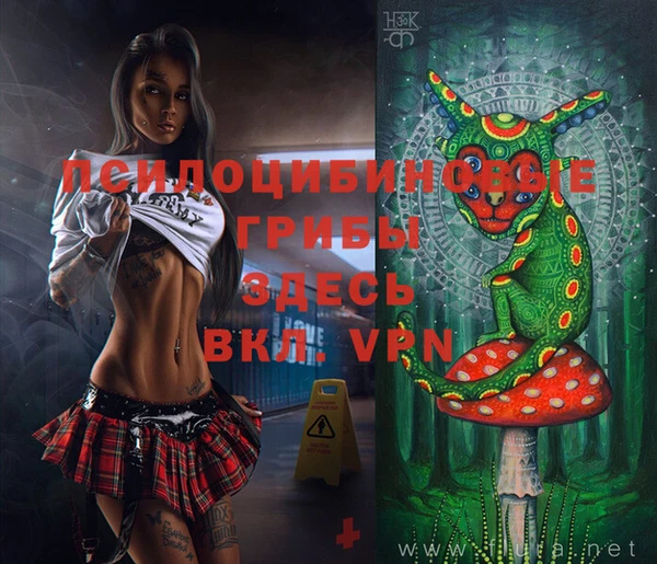 ГАЛЛЮЦИНОГЕННЫЕ ГРИБЫ Баксан