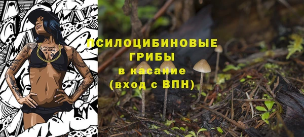 а пвп мука Балабаново