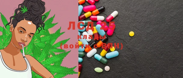 ГАЛЛЮЦИНОГЕННЫЕ ГРИБЫ Баксан