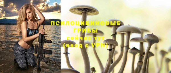 ГАЛЛЮЦИНОГЕННЫЕ ГРИБЫ Баксан